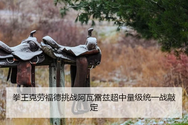 拳王克劳福德挑战阿瓦雷兹超中量级统一战敲定